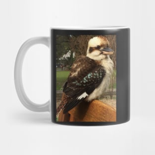 Kookaburra Mug